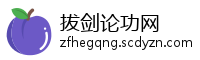 拔剑论功网